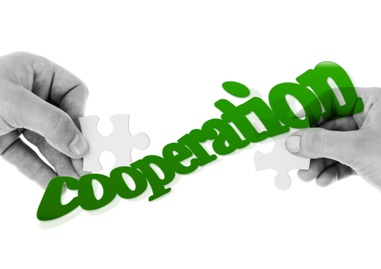 регистрация международного бизнеса