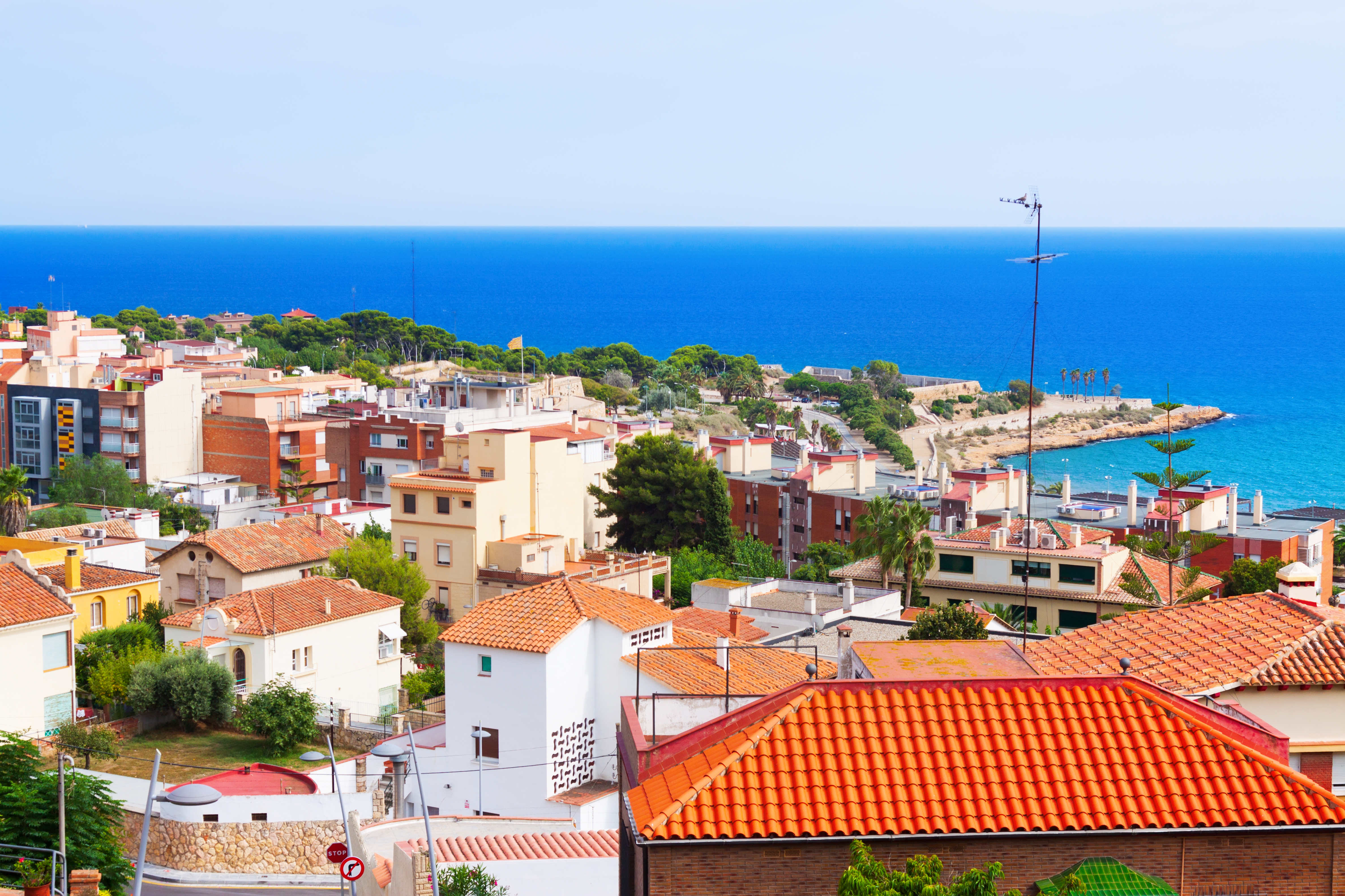 Cyprus for an agricultural holding