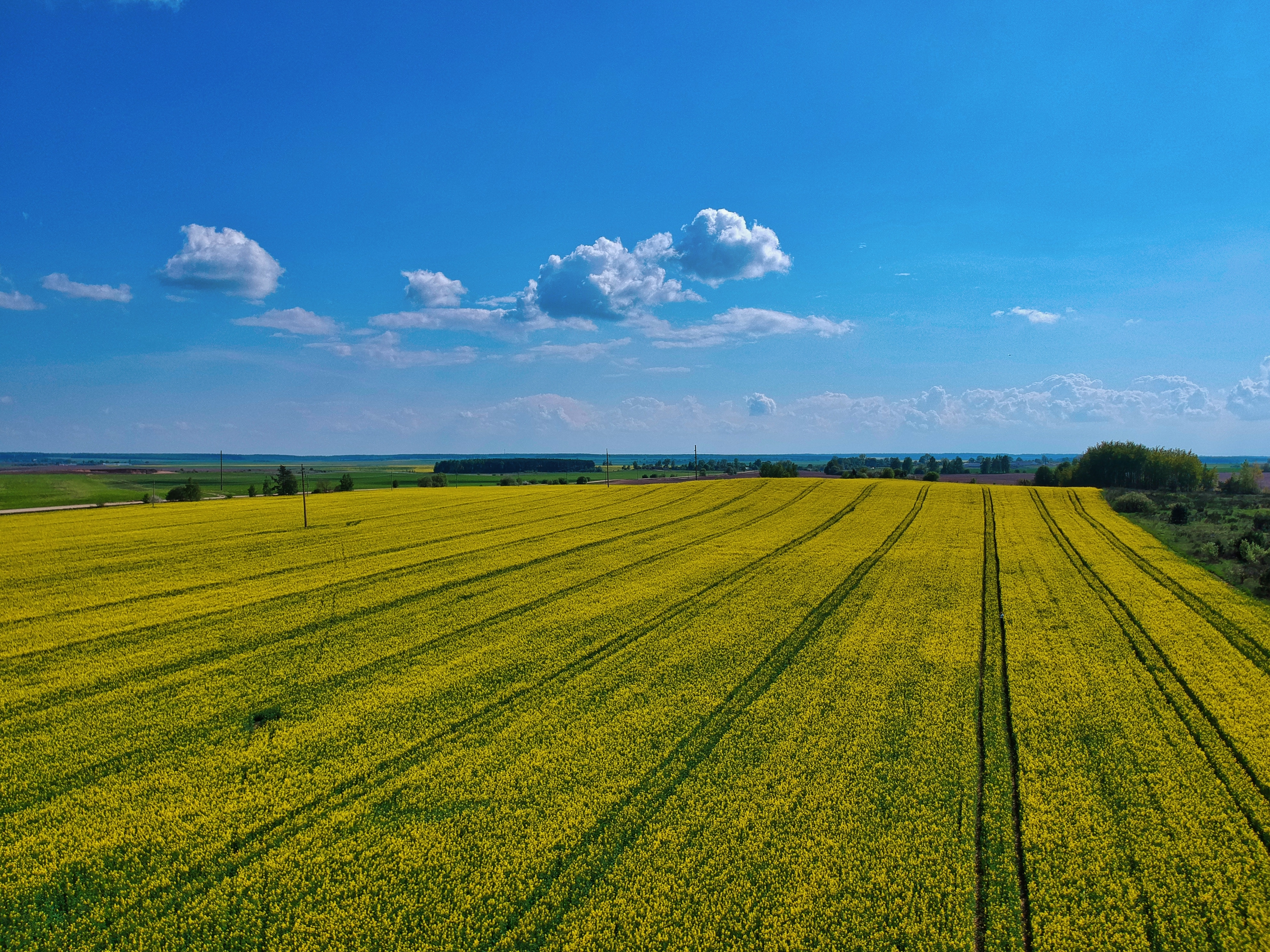 Cyprus for an agricultural holding