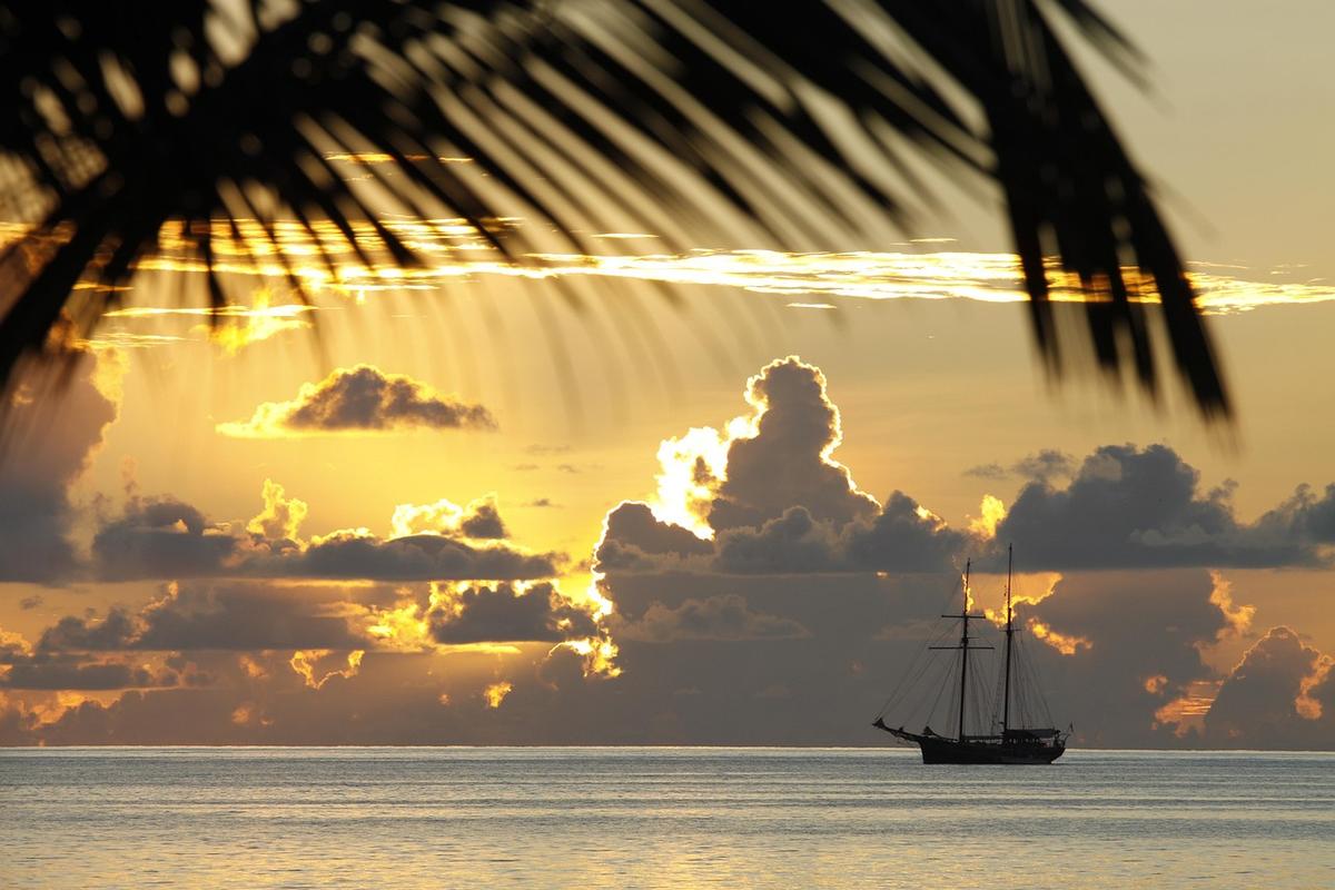 open an offshore company or buy a ready-made one